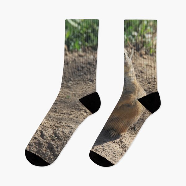 Item preview, Groundhog standing on its feet designed and sold by EstelleRossetti.