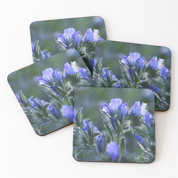 Item preview, Beautiful Blue Backlit Echium Flowers  designed and sold by Imladris01.