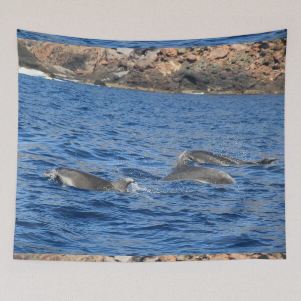 Item preview, Dolphins in the Scandola reserve sea designed and sold by EstelleRossetti.