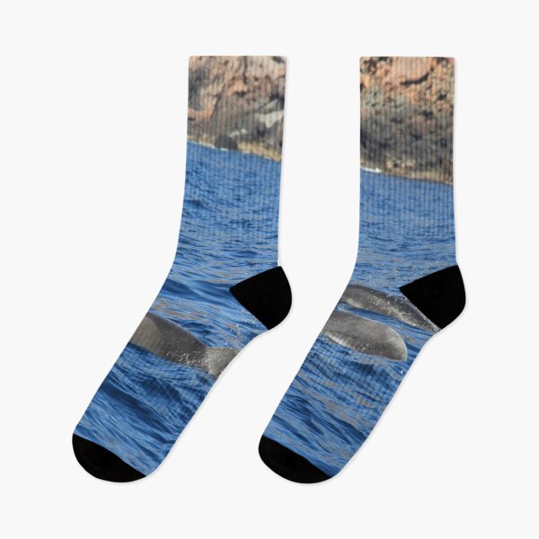 Item preview, Dolphins in the Scandola reserve sea designed and sold by EstelleRossetti.