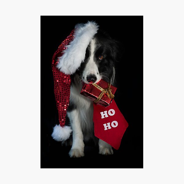 A Merry Christmas to all at Redbubble ! Photographic Print