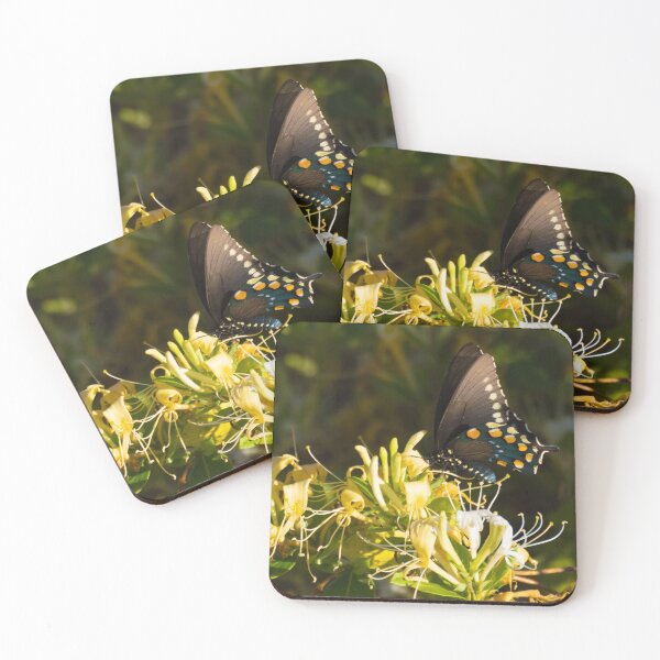 Item preview, A Pipe Vine Swallowtail Butterfly eats from Honeysuckle Nectar designed and sold by MomentofPercep.
