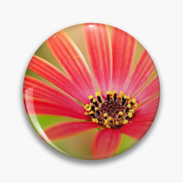 Item preview, Red Osteospermum designed and sold by FOLK ART FUSION by heidiannemorris.