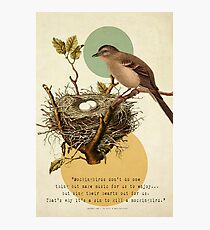 To Kill A Mockingbird Photographic Print