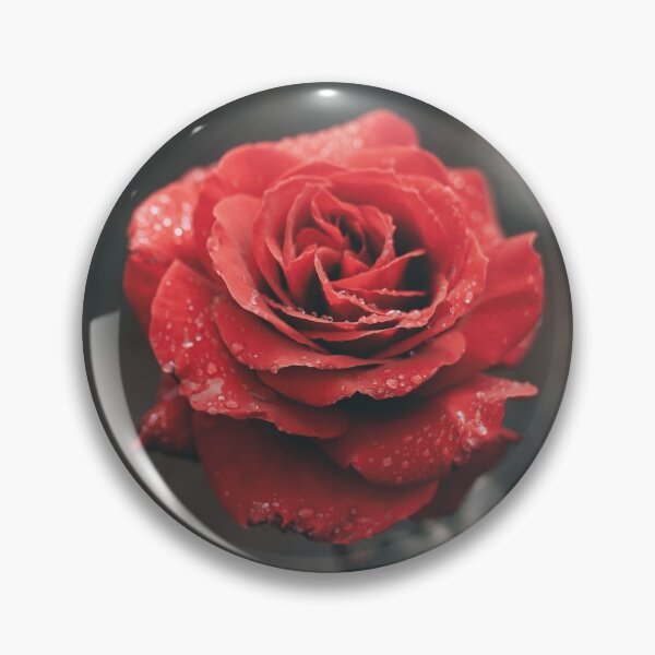 Artikelvorschau, Red Rose entworfen und verkauft von OneCherubim.