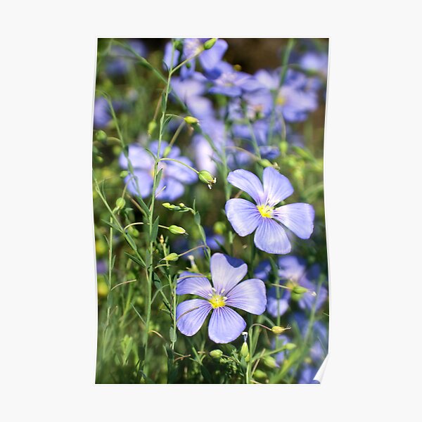 Tenderness Poster
