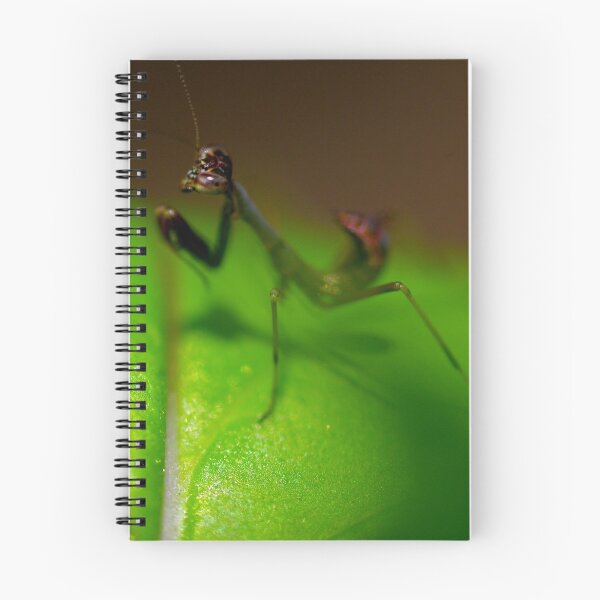 Item preview, Black Mantid designed and sold by Helena Bolle.