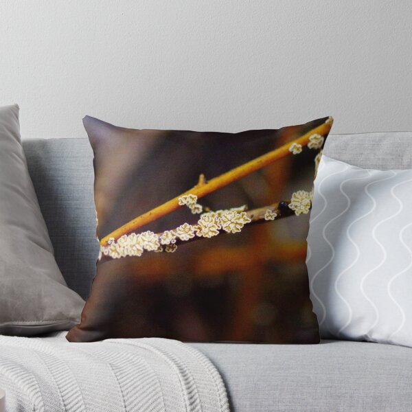 Item preview, Fungus designed and sold by Helena Bolle.