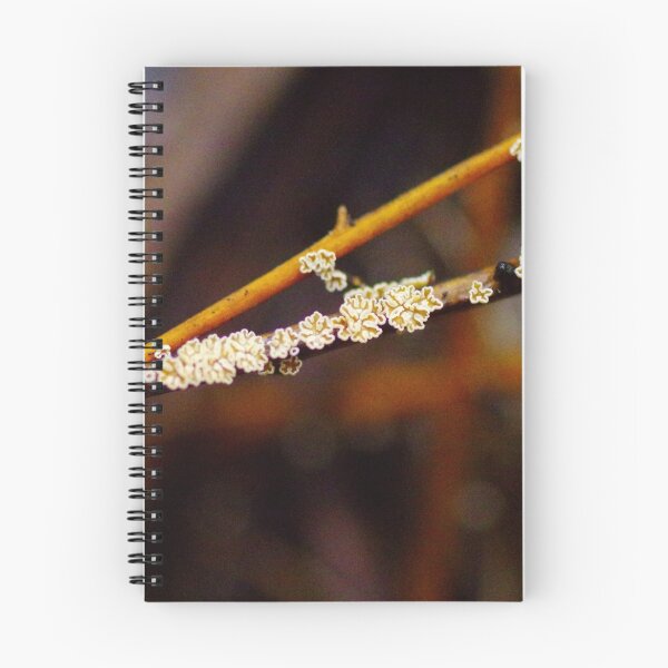 Item preview, Fungus designed and sold by Helena Bolle.