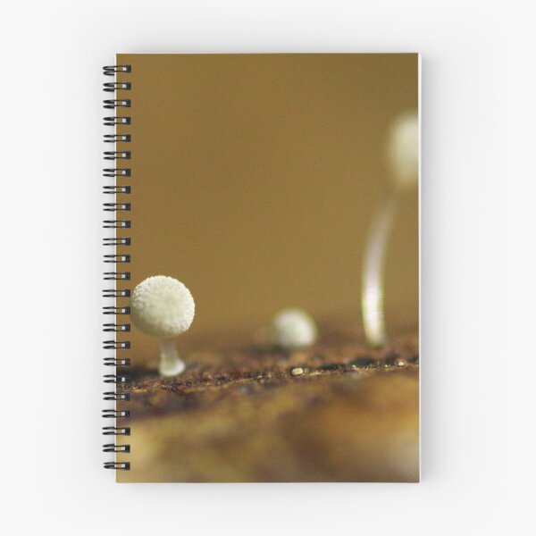 Item preview, Mycena Babies designed and sold by Helena Bolle.