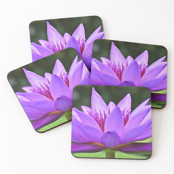 Item preview, Beautiful water lily designed and sold by OneCherubim.