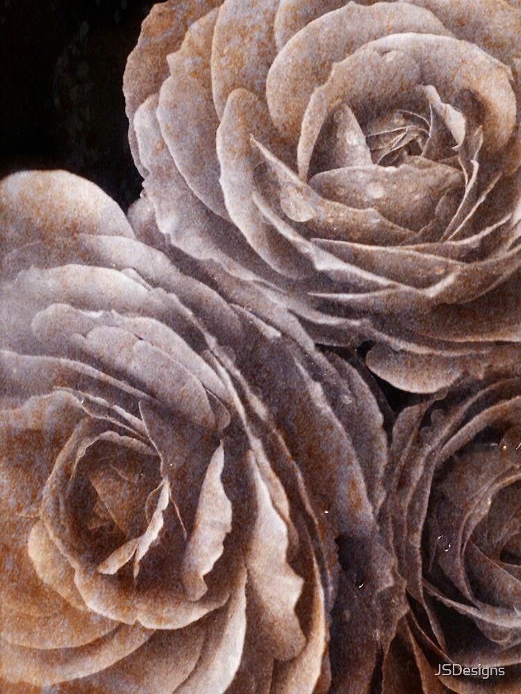 Thumbnail 5 of 5, iPhone Case, Three Roses Iphone Case designed and sold by JSDesigns.