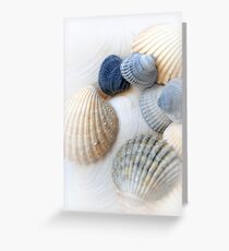 Just Sea Shells Greeting Card