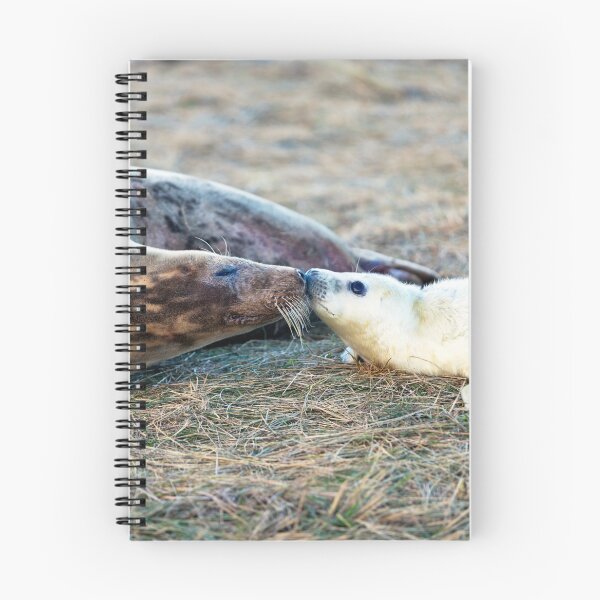 Item preview, Donna Nook Grey Seal Colony Kiss designed and sold by Paul Thompson Photography.