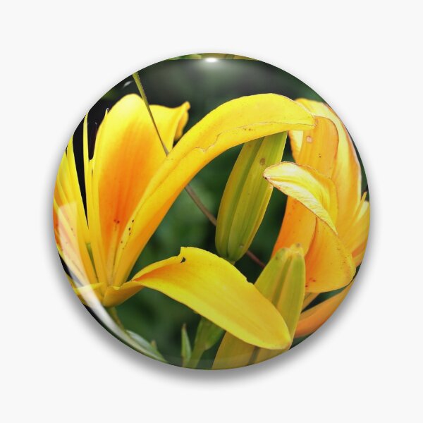 Item preview, Beautiful Yellow Daffodil Easter Lily designed and sold by OneCherubim.