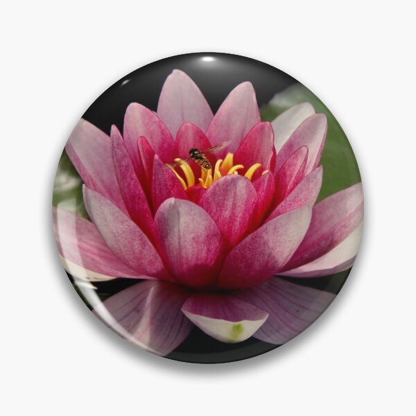 Artikelvorschau, Lotus Flower Floating entworfen und verkauft von OneCherubim.