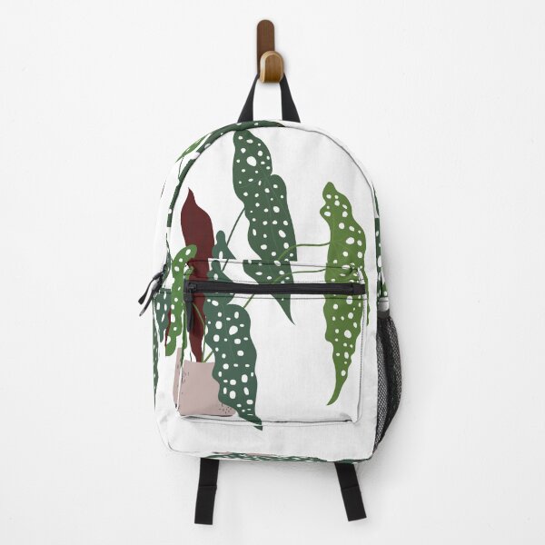 Item preview, Begonia Maculata "Polkadot" designed and sold by Wic. Studio.
