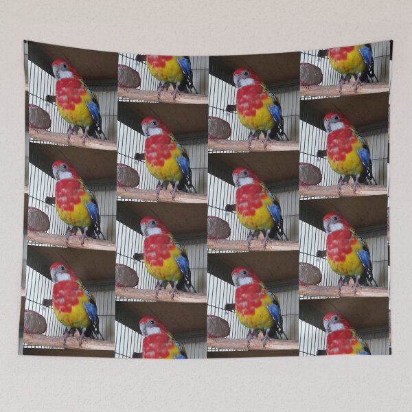 Item preview, Rosella parakeet designed and sold by Sternchen2789.