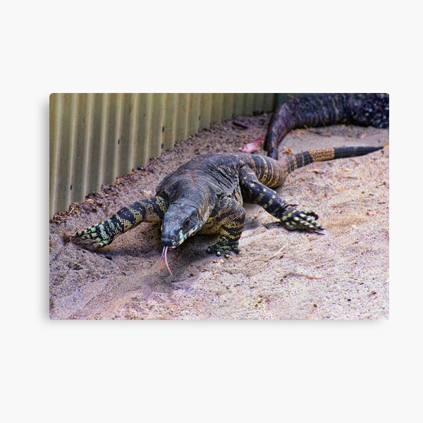 Item preview, Lace Goanna designed and sold by Steve Randall.
