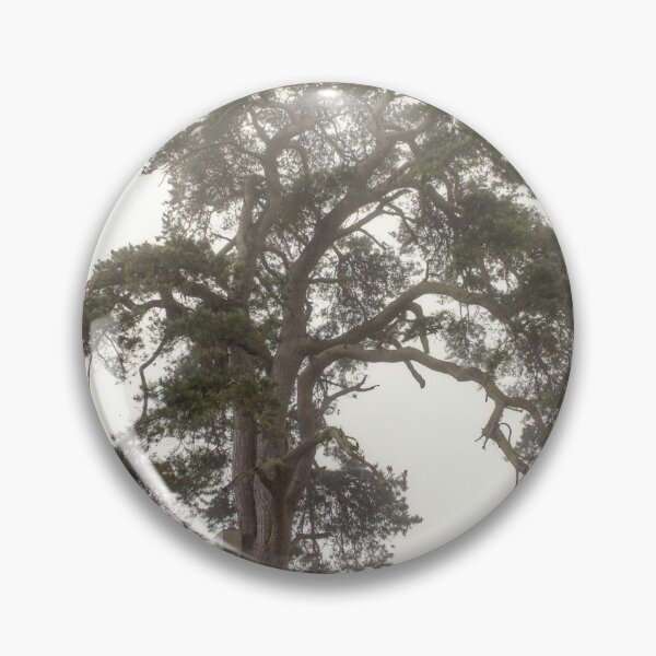 Item preview, Scots Pine in fog by heidiannemorris © designed and sold by FOLK ART FUSION by heidiannemorris.