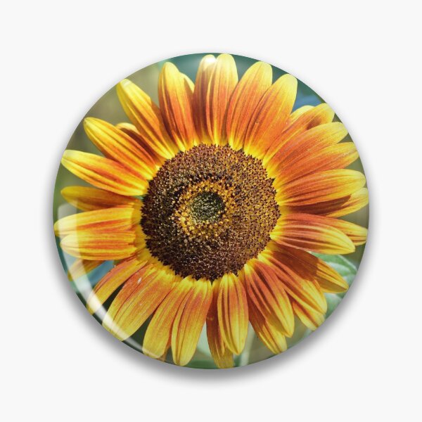 Item preview, Single Sun Flower Bloom designed and sold by OneCherubim.
