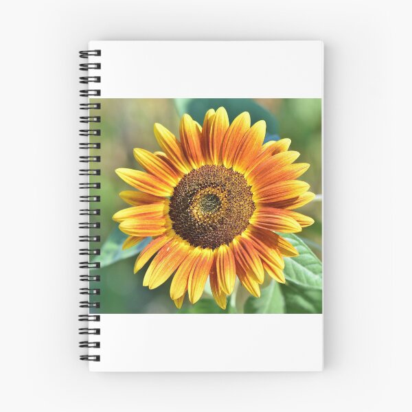 Item preview, Single Sun Flower Bloom designed and sold by OneCherubim.