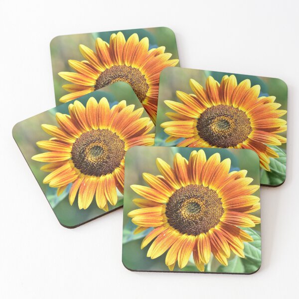 Item preview, Single Sun Flower Bloom designed and sold by OneCherubim.