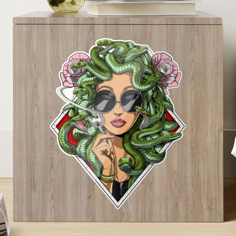  Stoner Notebook: Medusa Hippie Stoner Smoking Weed Psychedelic  Greek Goddess Cannabis Trippy Marijuana Notebook: 9798699049387: Love,  Fungi: Books