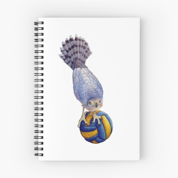 Item preview, Volleyball Hawk #2 - Cooper's Hawk  designed and sold by R.A.  Faller.
