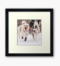 Born to run Framed Print