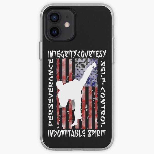American Martial Arts 5 Tenates of Taekwondo iPhone Soft Case