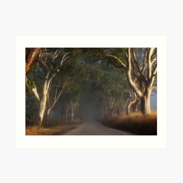 ~ The Road II ~ Art Print