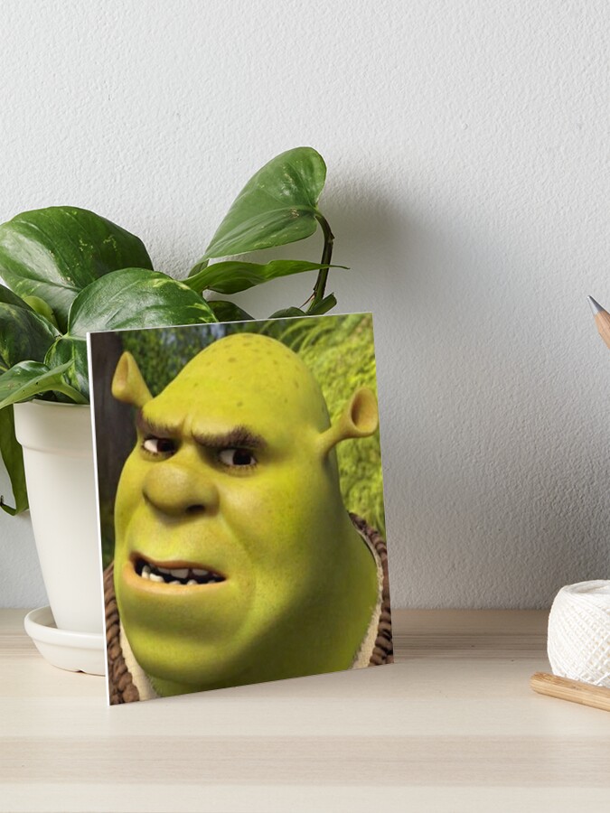 Shrek 2 - Shrek Awkward Smiling Photographic Print for Sale by volkaneeka