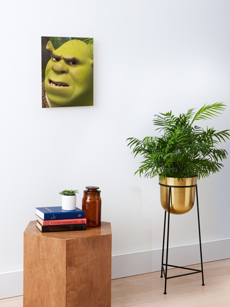 Shrek 3 - Shrek Confused Photographic Print for Sale by volkaneeka