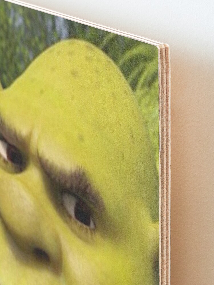 Shrek 3 - Shrek Confused Photographic Print for Sale by volkaneeka