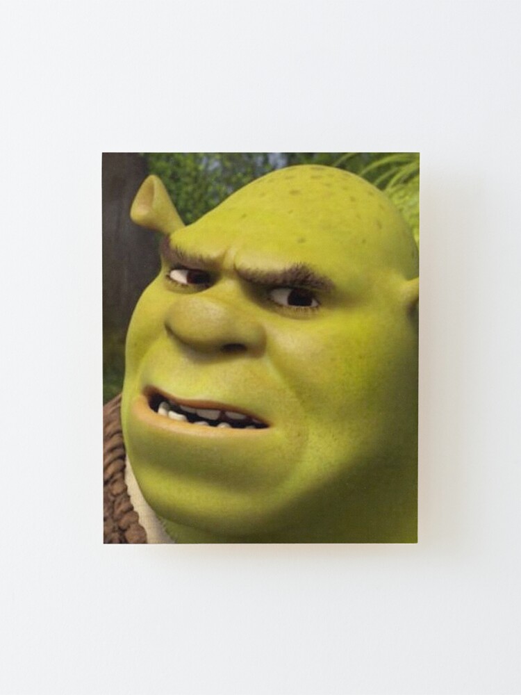 Shrek 3 - Shrek Confused Photographic Print for Sale by volkaneeka