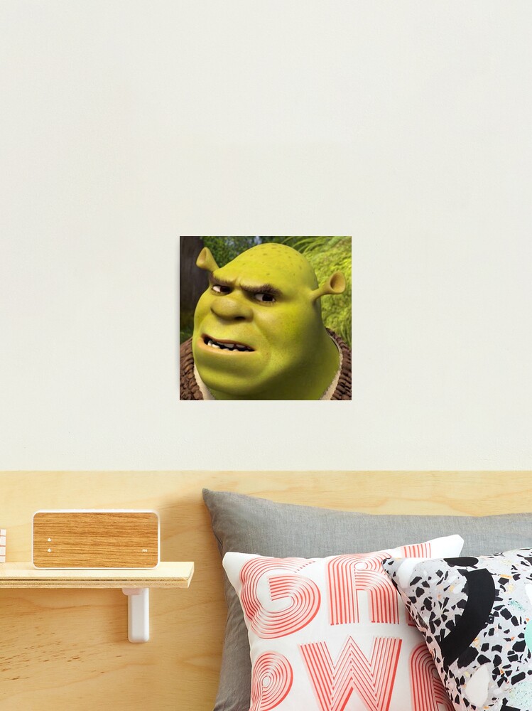 Shrek 3 - Shrek Confused Photographic Print for Sale by volkaneeka