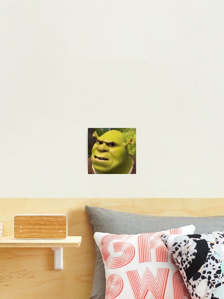 Shrek 3 - Shrek Confused Photographic Print for Sale by volkaneeka