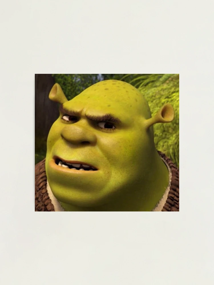 Shrek meme Photographic Print for Sale by Doflamingo99