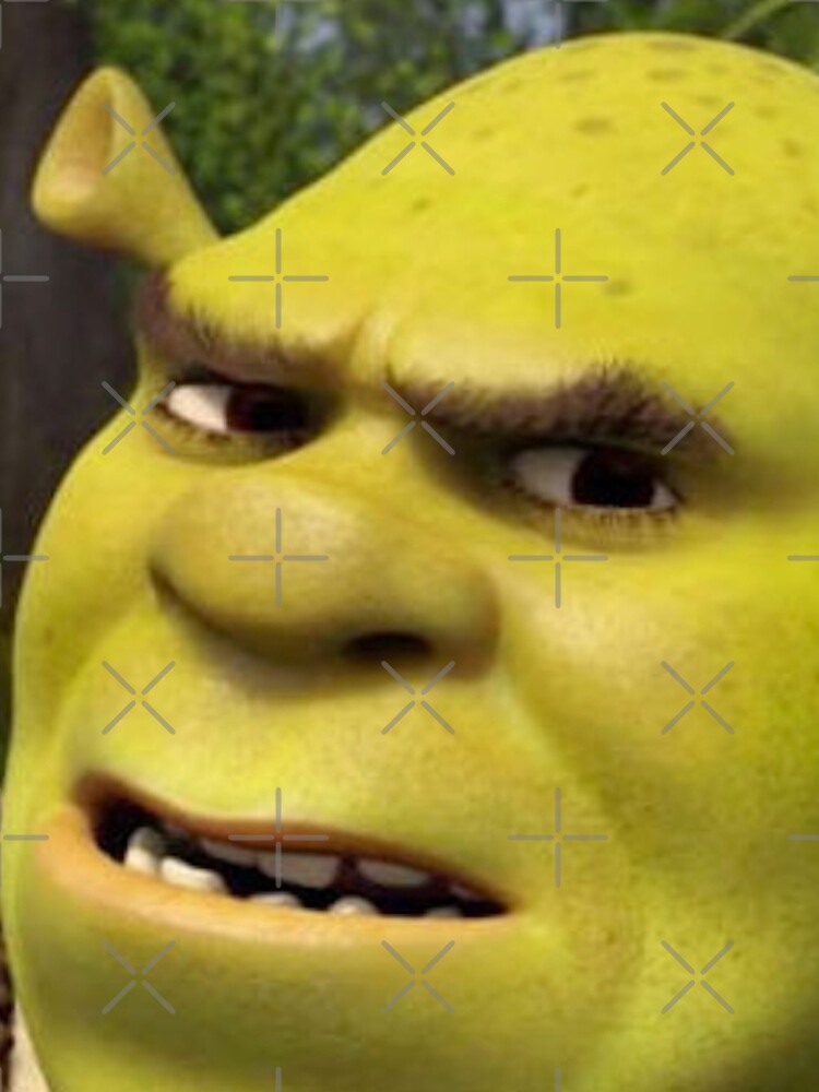 Confused Shrek reaction pic  Shrek, Funny reaction pictures, Confused  pictures