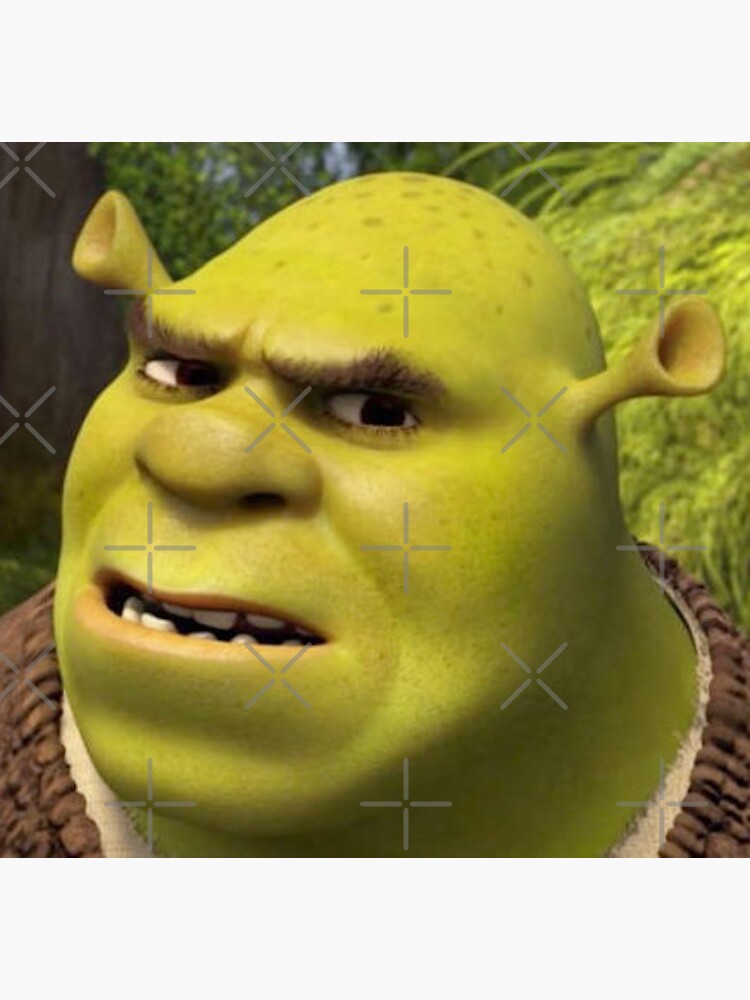 Confused Shrek sticker | Magnet