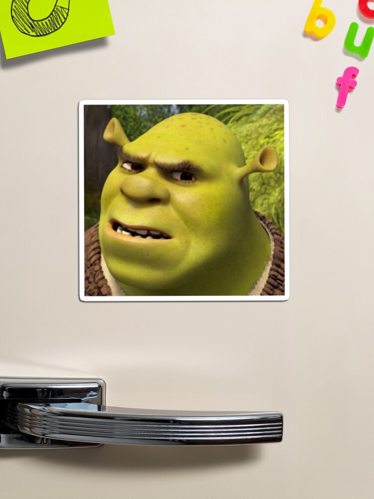 Confused Shrek sticker | Magnet