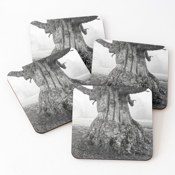 Item preview, Old Oak Tree Trunk In Fog by heidiannemorris © designed and sold by FOLK ART FUSION by heidiannemorris.