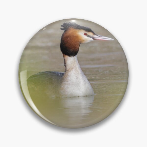 Item preview, Grebe Portrait designed and sold by Alec Stewart.