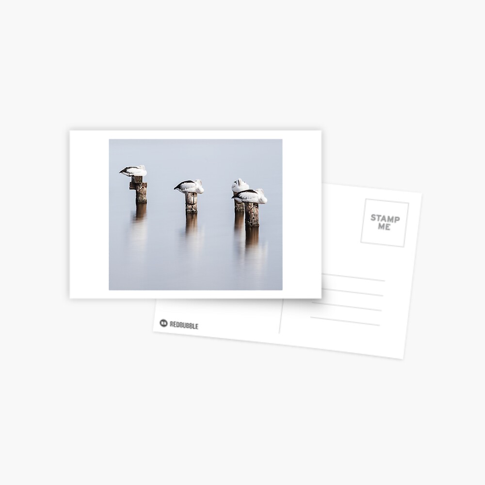 Item preview, Postcard designed and sold by paulmp.