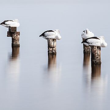 Artwork thumbnail, Stillness by paulmp