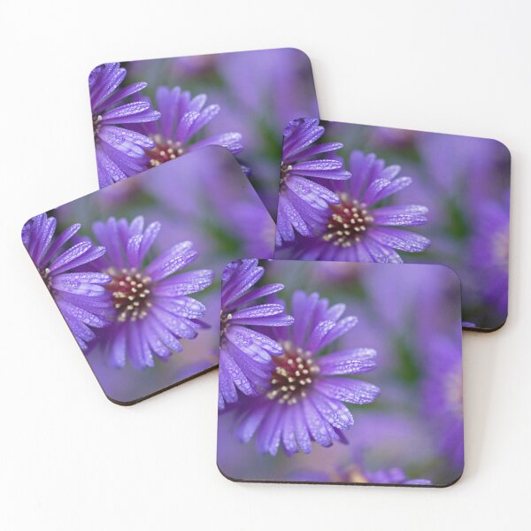 Aperçu de l'œuvre Asters mouchetés de rosée créée et vendue par Rebecca Lefferts.