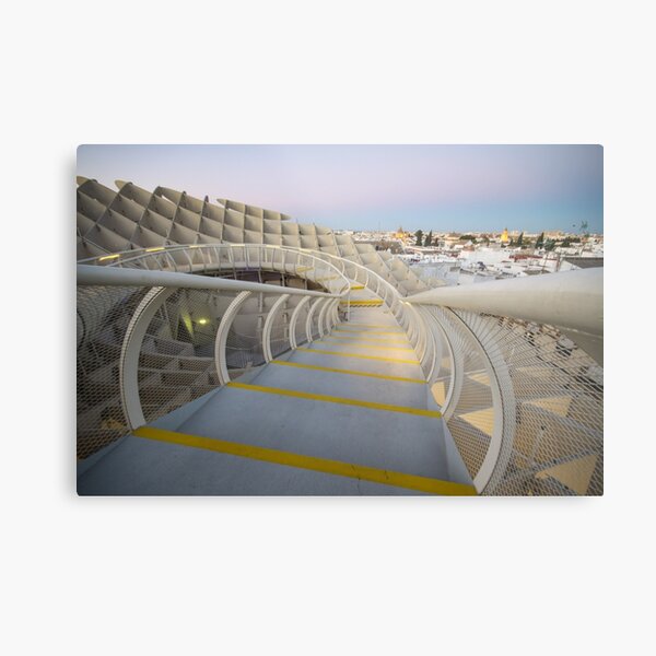 On Top of the Mushroom Metal Print