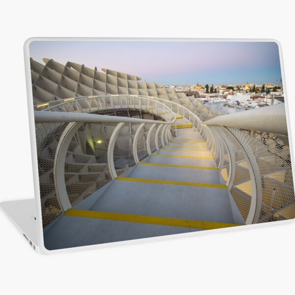 On Top of the Mushroom Laptop Skin