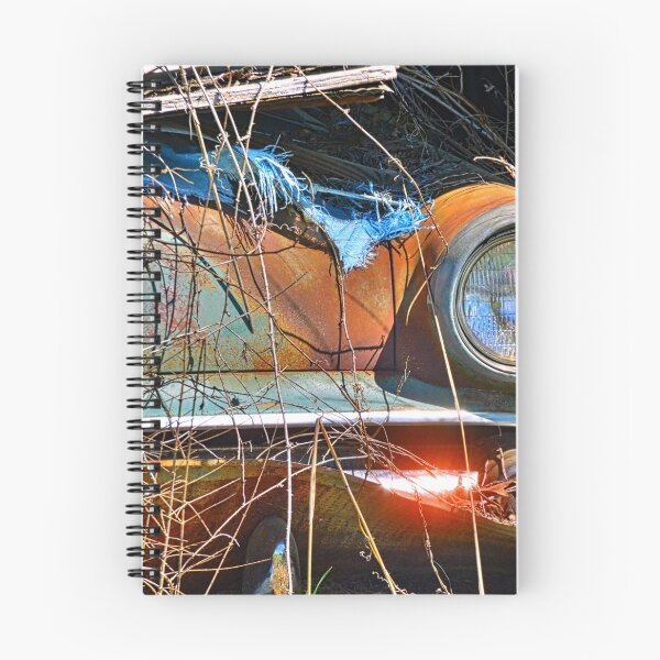 Item preview, Rusty Barn Find 3 designed and sold by LisaWootenPhoto.